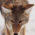 Jacky Klein Profile Picture