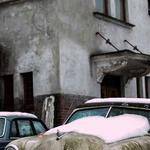 Ida Kessler Profile Picture