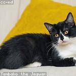 Nona Schmitt Profile Picture