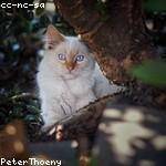 Claude Purdy Profile Picture