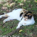 Brett Lesch Profile Picture