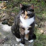 Florine Mosciski Profile Picture