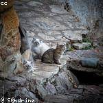 Marisa Herman Profile Picture