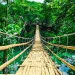 10 Ways To Keep Food Safe Profile Picture