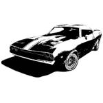 malikisalive Profile Picture