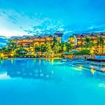 mark dhorthy Profile Picture