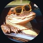 Hanter4444 Profile Picture