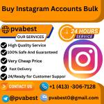 Buy Instagram Accounts Bulk Profile Picture