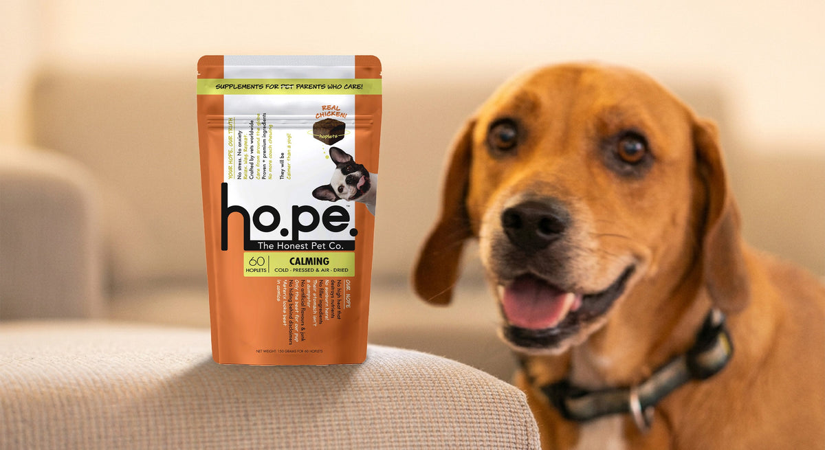 Why Honest Pet Co. Is India's Trusted Brand for Dog Supplements  – ho.pe.